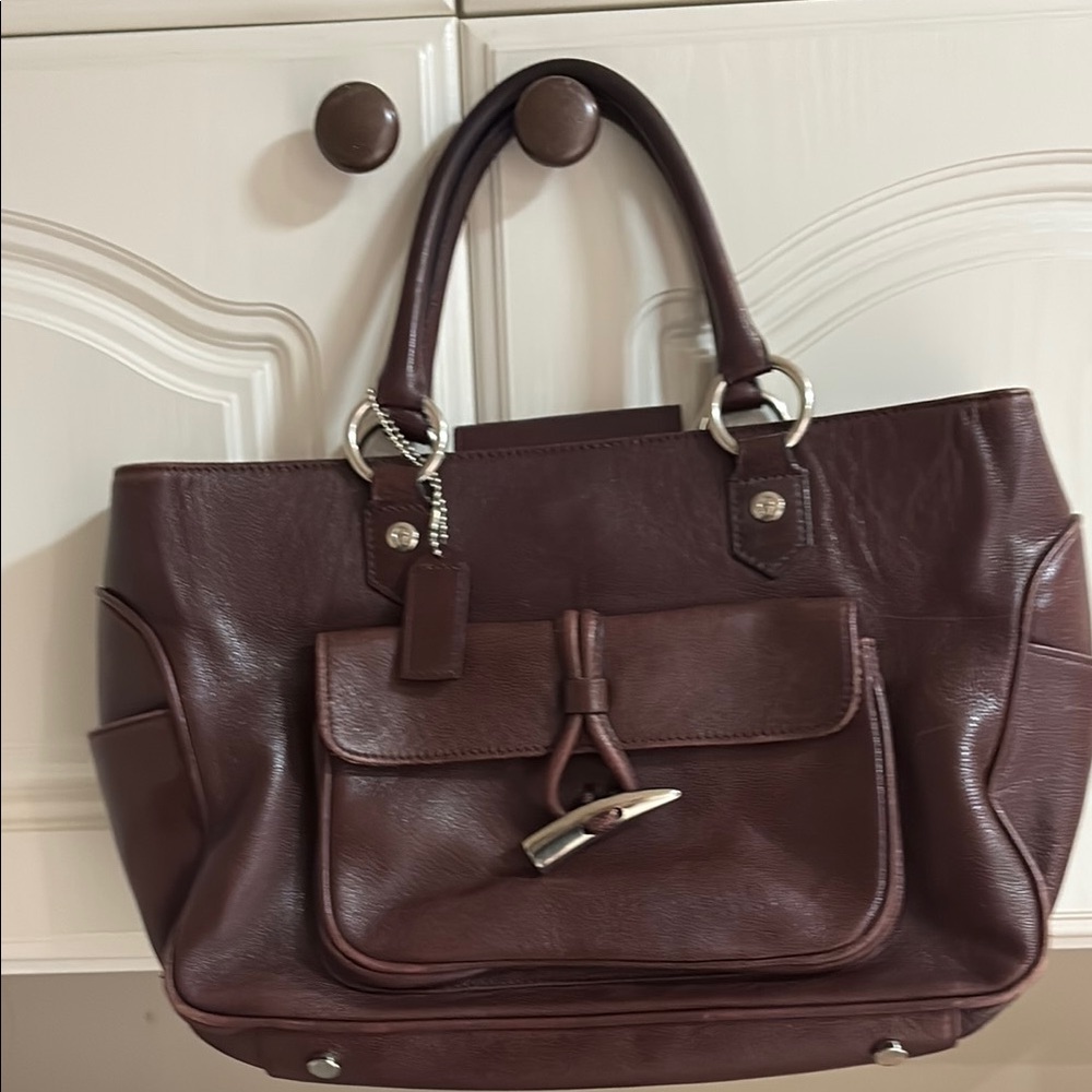 Etienne Aigner Brown Mini Bag with Structured Design